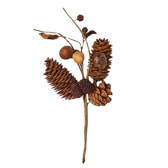 10" Natural Pinecone & Pod Picks, 48ct.